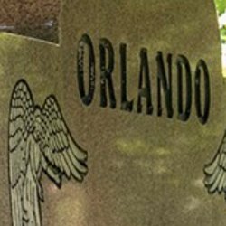 Nick Orlando
